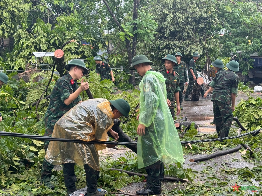 View - 	Hà Nội tập trung dọn dẹp cây xanh ngã đổ, khai thông tuyến phố